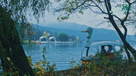 فيلم Duck Town 2018 مترجم