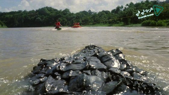 فيلم Killer Crocodile 2 1990 مترجم