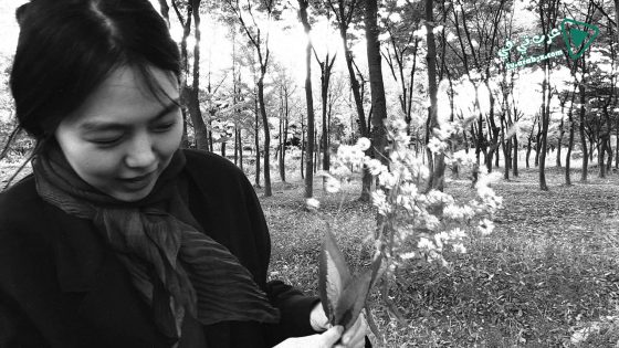 فيلم The Novelists Film 2022 مترجم