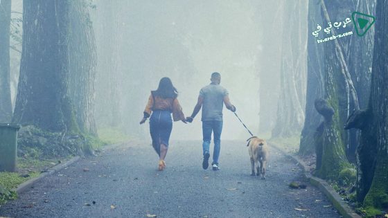 فيلم The Perfect Picture Ten Years Later 2019 مترجم