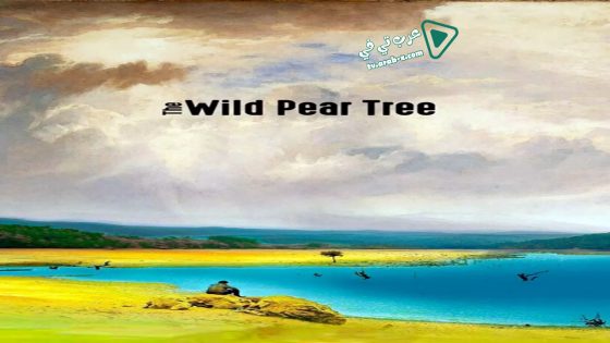 فيلم The Wild Pear Tree 2018 مترجم