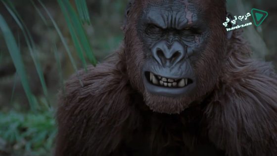 فيلم wild king 2020 مترجم